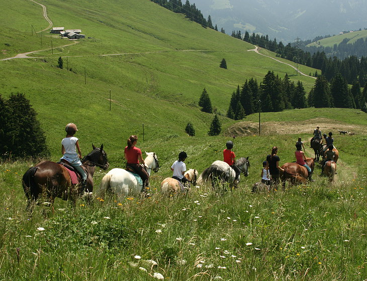 horse;lavey;summer;portes-du-soleil;mountain